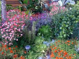 Ladwp Offers Free Landscape Design For