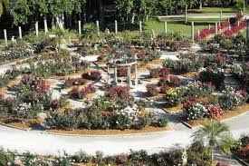 10best Beautiful Rose Gardens