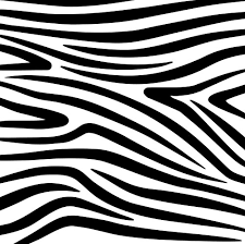 Zebra Print Vector Images Over 15 000