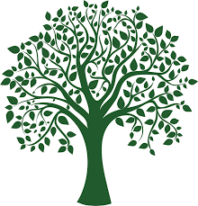 Tree Drawing Logo Ilration Green