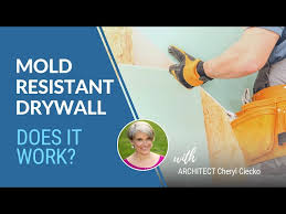 Does Mold Resistant Drywall Work