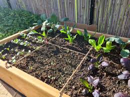 Square Foot Gardening The Simplest