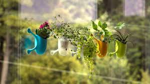 Quirky Suction Cup Planters Let You