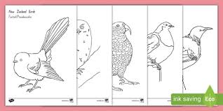 Nz Native Bird Outline Colouring Pages