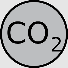 Carbonate Monoxide Respiration