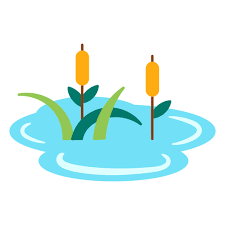 Cattail Plants In A Pond Icon Png Design