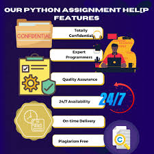 Python Assignment Help 24x7