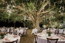 Fig Tree Park Wedlockers