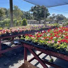 Ellenton Florida Nurseries