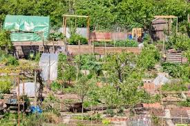 Vegetable Gardens Stock Photos