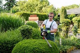 The Best Gardening Services In Canberra