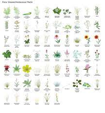 Botanical Sets Of Icon Ilrations