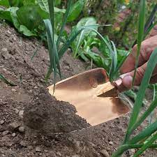 The Natural Gardener