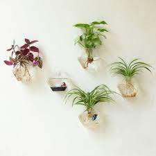 30 Unique Hanging Planters To Help You