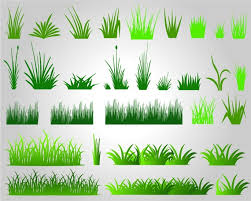 Grass Svg Grass Clipart Grass Vector