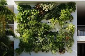 Hydroponic Vertical Garden In Modern