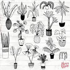 House Plant Clipart Hand Drawn Plants