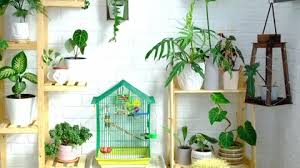 A Cage With A Budgie Stands In A Living