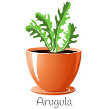 Herb Garden Clipart Images Free
