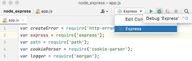 running and debugging node js appcode