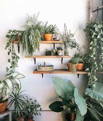 Hanging Garden Ideas For Home