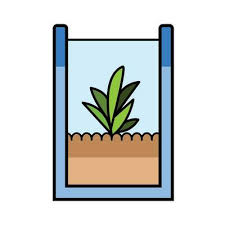 Small Succulent Desk Plant In Glass Jar