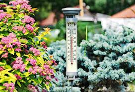 The Best Outdoor Thermometers Of 2024