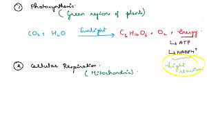 Both Equations Photosynthesis