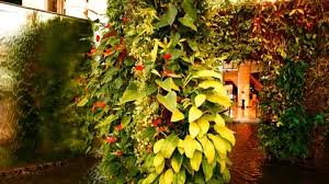 Vertical Garden Living Wall Green Wall