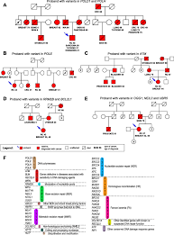Candidate Variants In Dna Replication