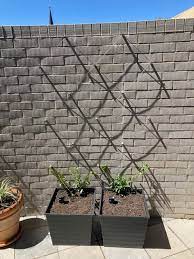 Espaliex Trellis Wire Kits Better