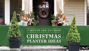 7 Planter Ideas And Tips To