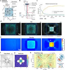 Persistent Fluid Flows Defined By