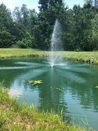 Floating Pond Fountain 1 2 Hp 6000 Gph