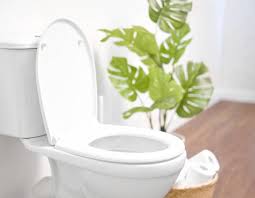 A Complete Guide To Toilet Installation