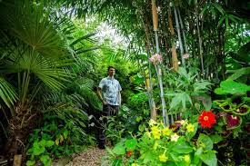 Inside The Incredible Jungle Garden
