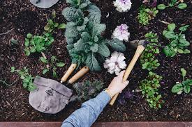 Potager Garden Aesthetic