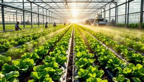 Free Modern Greenhouse Agriculture