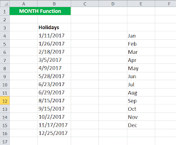 Month In Excel Formula Example How