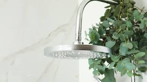 Hanging Eucalyptus In Their Shower