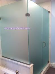 Frosted Glass Shower Door