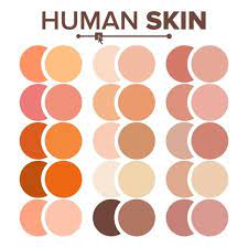Skin Tone Color Vector Hd Images Skin