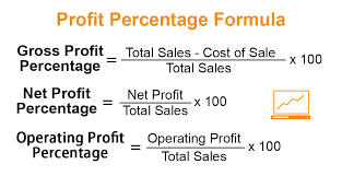 Profit Percentage Formula Examples