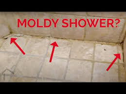 Moldy Shower Why Showers Can Get Moldy