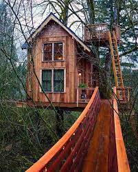 Bamboo Tree House Designs Beautiful