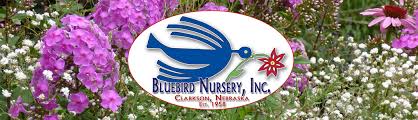 S Bluebird Nursery Inc