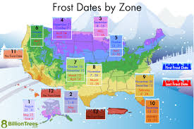 Planting Zones Guide Usda Hardiness