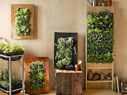 Decorative Vertical Wall Garden