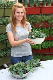 Foods Can I Grow In A Vertical Garden