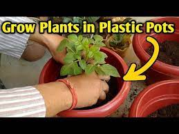 How To Grow Plants In Plastic Pots